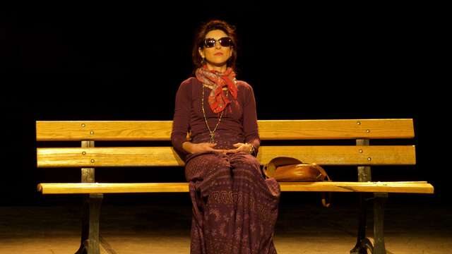 Echos 25-26 : A quoi servent les points-virgules - Compagnie Le Chat du désert, Theys