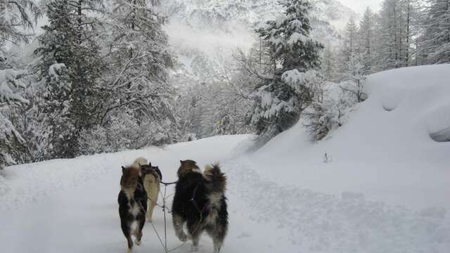 Séjour Multi-activités Hiver "Sur les traces de Jack London" - Le Chalet d'en Hô