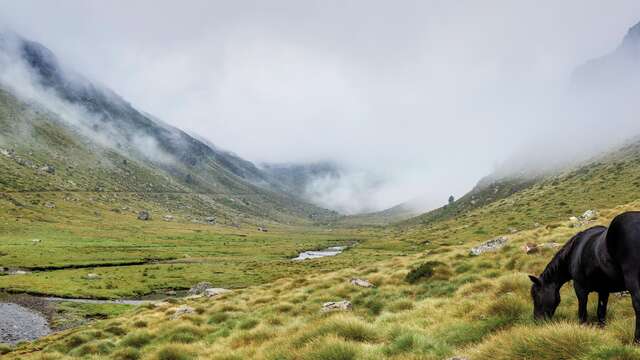 Ariege Pyrenees Regional Nature Park