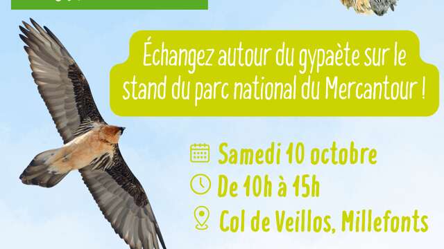 Journée Internationale du GYPAÈTE BARBU avec le Parc National du Mercantour;