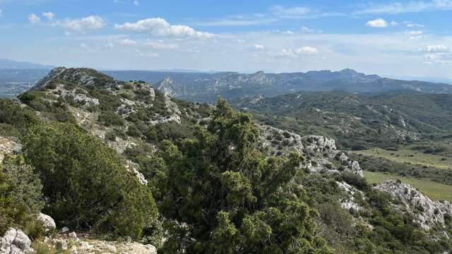 Die Kämme von Saint-Rémy-de-Provence