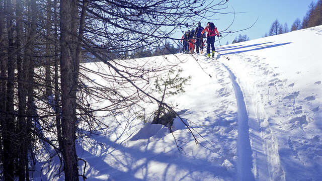 Ski de randonnée Alpine