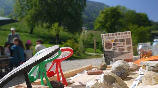 Birthday party in the great outdoors: geology workshop