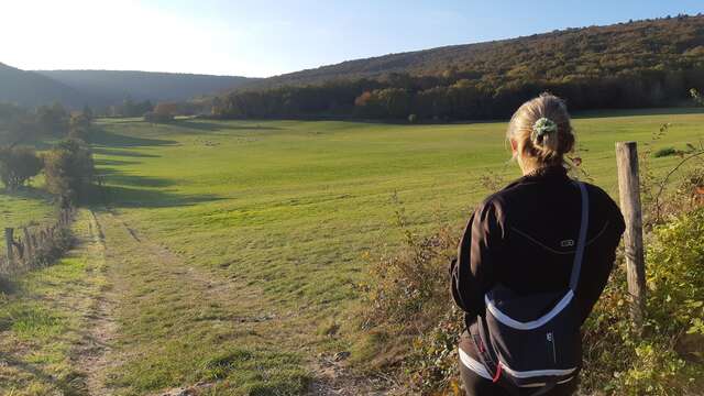 Tower of Chavannes, an ancient Comtoise town