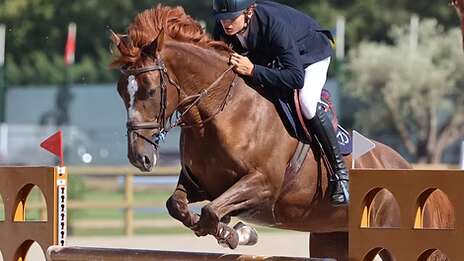 Concours de sauts international - Jumpping de mars
