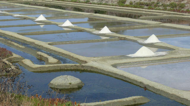 Visite guidée de l'Écomusée et découverte du marais salant