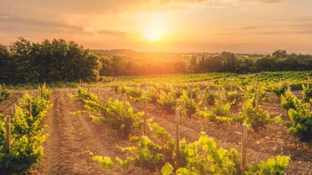 Magnum trail in Cairanne