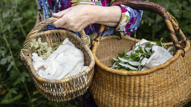 Bon cadeau : atelier création d'un baume naturel