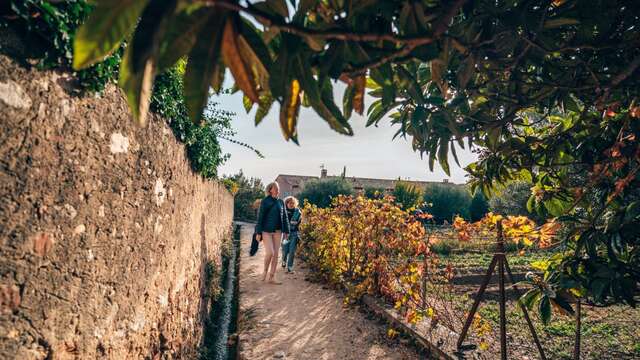 Gourmet stroll in Ollioules