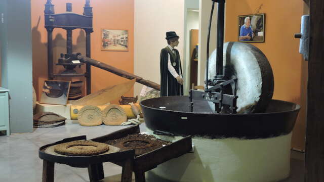 Musée de l'Olivier - Espace Vignolis
