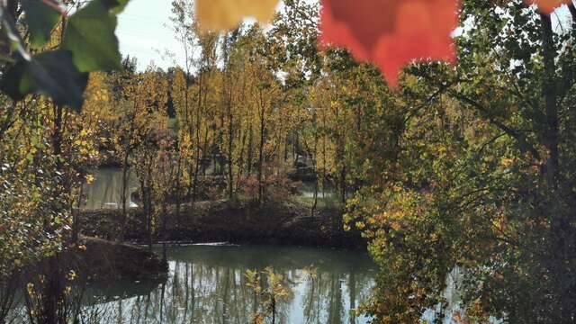 Le Parc de la Lère - Lacs