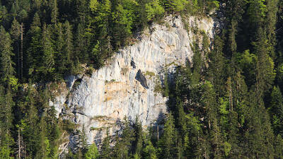 Site d'escalade - La Trêche