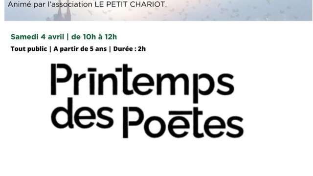 Workshops at the media library