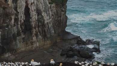 Document Terre - Nouvelle Zélande