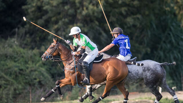 Polo Club Saint-Tropez - Haras de Gassin