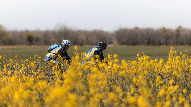 Gravel n°G2 - Tour en forêt de Mallemoisson