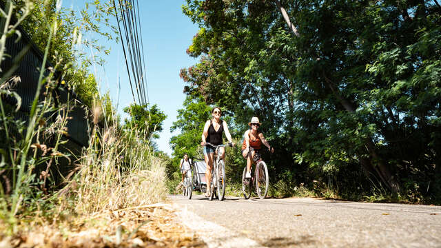 Coastal cycling route - V65: La Londe-les-Maures > Bormes les Mimosas