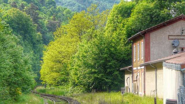 Les Vallons de l'Anzon ou les Pins Tordus