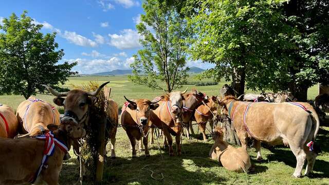 Fête du Fin Gras du Mézenc