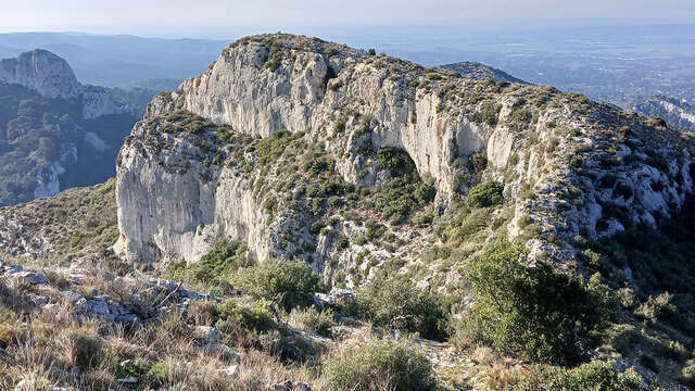 Site d'escalade de Saint-Rémy-de-Provence - La Valample - Les Cistes