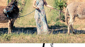 Safari d'Art et dégustation de vin au Domaine Sainte Marie
