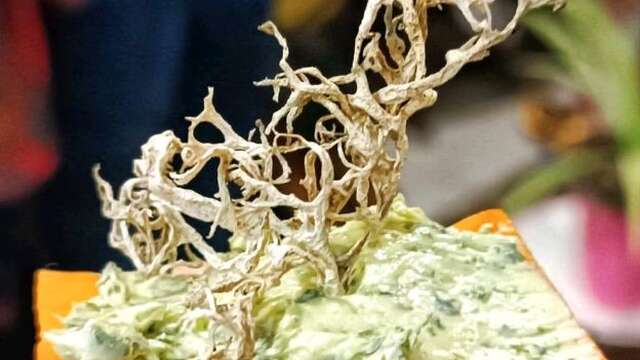 Balade gourmande aux Tours de Merle : À la découverte des plantes sauvages comestibles