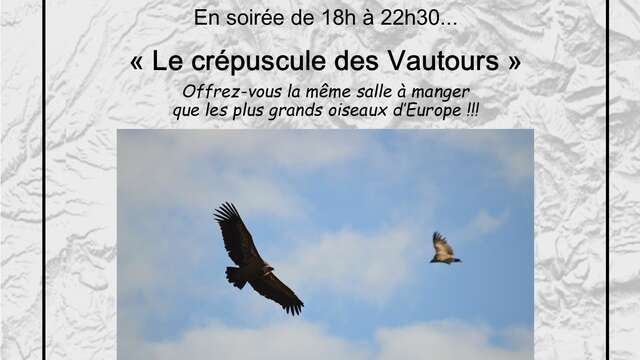 Accompagnied tours "The twilight of the vultures"