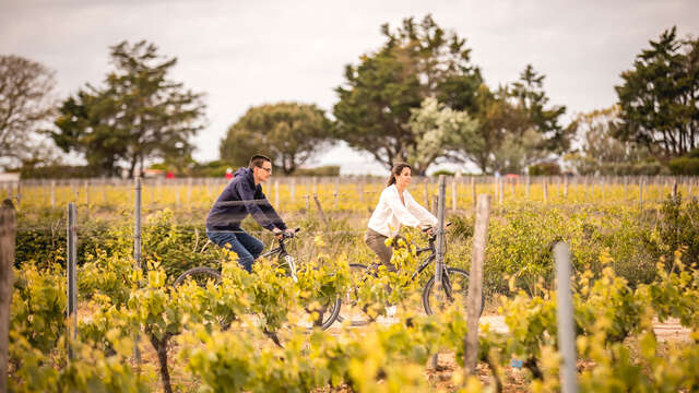 Balade à vélo matinale dans les vignes, visite autour des spiritueux retais et dégustation accompagnée de produits locaux