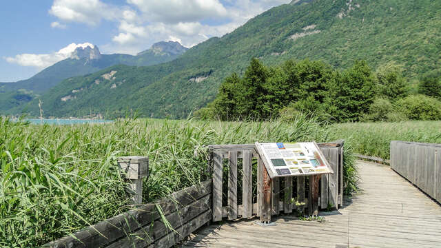 Sentier pédestre de la réserve naturelle du Bout du Lac d'Annecy
