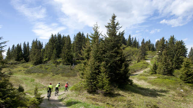 VTT Cross country - Bois de Covetan