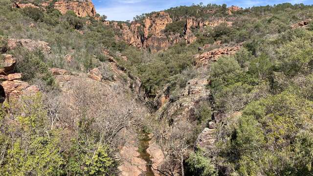 Nature walk on the Blavet with Alex