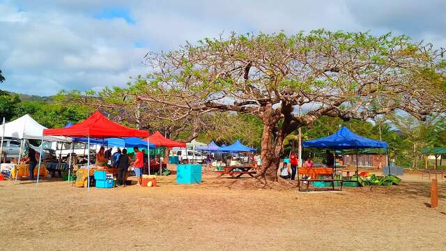Marché de Proximité