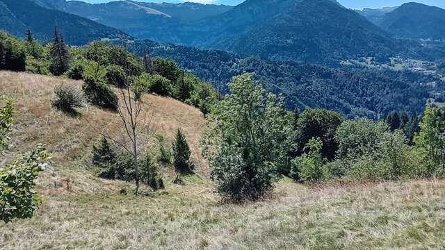 Au pays des pelouses sèches I Rendez-vous Nature en Savoie