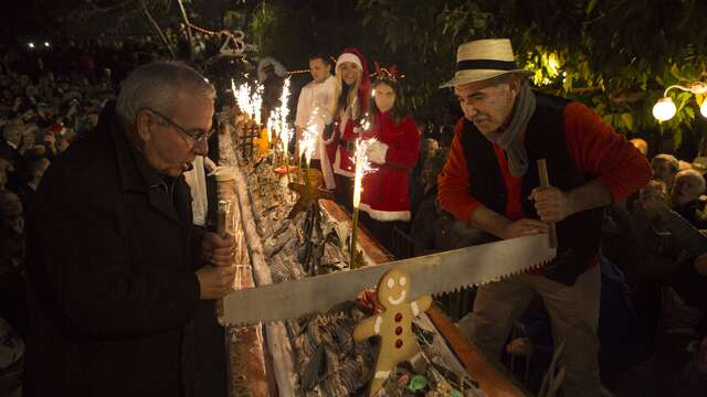 Visite guidée "Noël en Provence à Antibes"