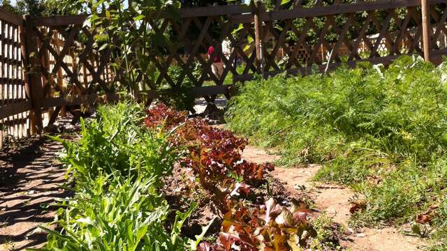 Le Potager du Parc Chanorier