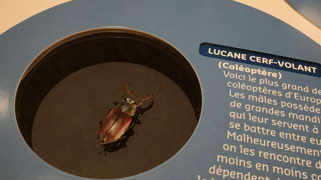 Fête de la science à l'écomusée