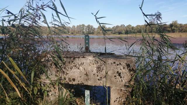 GR® de Pays - Beaujolais-Bugey via Dombes