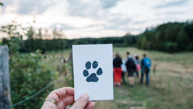 La vie secrète du sol