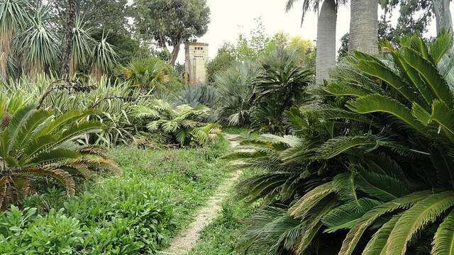 Jardin botanique Villa Thuret