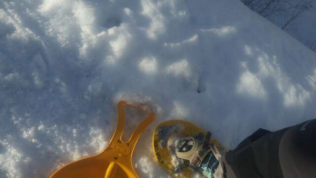 Aventure igloo, chasse au trésor et trappeur avec Anne Zanolin