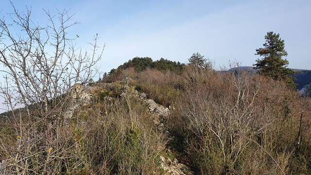 Randonnée - Treffort et le belvédère du Mont de Grillerin