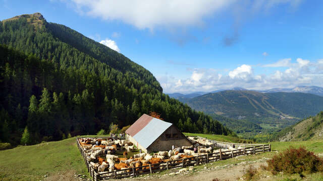 La Cabane des Mulets