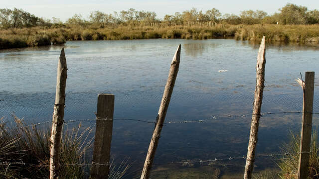 Réserve des Impériaux