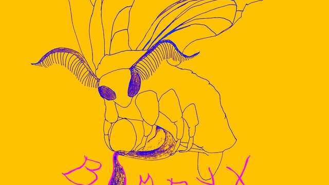 Bombyx - Fête du printemps à la Magnanarié