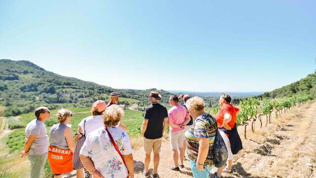 Visite guidée du Clos de Caveau