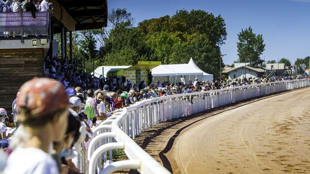 Courses à l'hippodrome