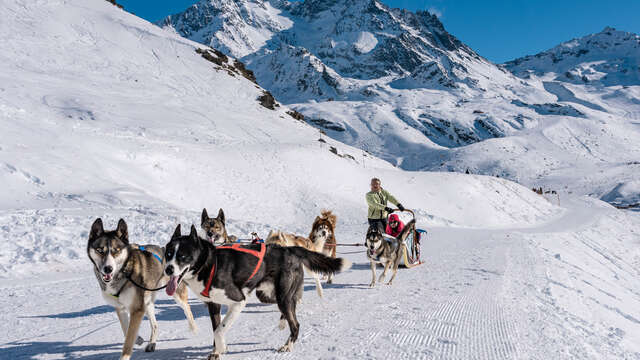 Balade en chiens de traineau sur le Plateau de Retord avec Rêve Nordique