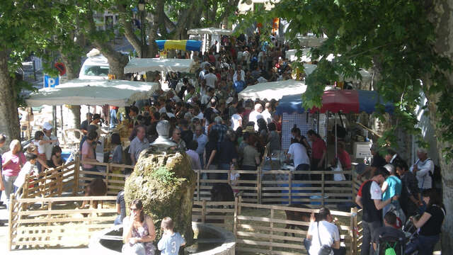 FOIRE CHEVRE ET MIEL