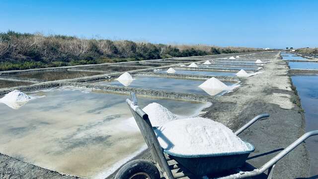 Visit to the Sel d'Isabelle salt marshes