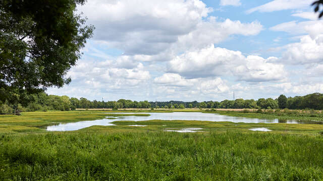 Marais de Montreuil-Juigné